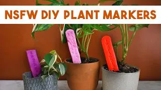 Thumbnail: 🍆 *NSFW* Plant Markers DIY | Add Spice to Your Plant Decor | Valentine's Day Clay Plant Gift