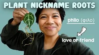 Thumbnail: Curious about your favorite plant's name? Find out the origin and what they truly mean!