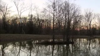 Thumbnail: Theme from Love Story (Instrumental) 1985