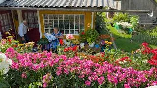 Thumbnail: Old Couple’s Hard but Happy Village Life 🏡 Grandma Maria Cooks & Harvests in the Carpathians