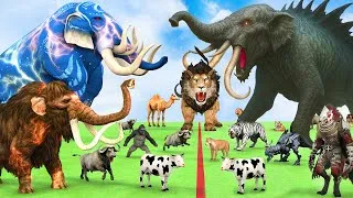 Thumbnail: 5 Giant Elephant Cow Vs Giant Angry Indian Elephant Vs 5 Giant Lion Tiger Saved By Wolly Mammoth