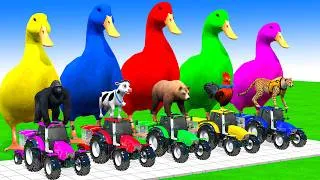Thumbnail: 5 Giant Duck Cartoon,Cow,Elephant,Tiger,Dinosaur,Paint Wild Animals Crossing Fountain Animation #590