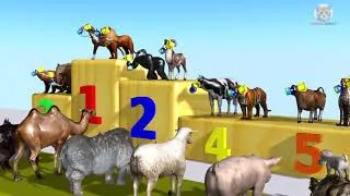 Thumbnail: Funny Cartoon Animals Wild Relay Race 100m with Animals Farm Indoor Playground for Children