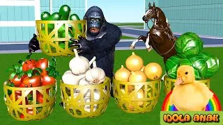 Thumbnail: Learn colors with vegetable-picking animals - funny animals
