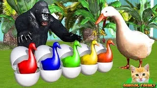 Thumbnail: Learn Colors Learn Animals with Gorilla rescues Goose eggs - Funny #Cartoon for Kids
