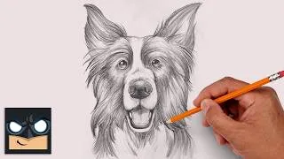 Thumbnail: How to Draw a Dog | Border Collie Sketch