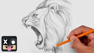 Thumbnail: How To Draw a Lion | Step by Step Art Lesson