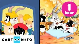 Thumbnail: When Play Time Goes Wrong | 1-Hour Baby Looney Tunes Binge Watch | Cartoonito