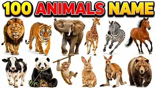 Thumbnail: 100 Animals Name in English | Animals Name for Kids | Learn 100 Animal Names
