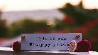 Thumbnail: Gratefulness ￼