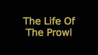 Thumbnail: Life Of The Prowl (the oldest view paordy)
