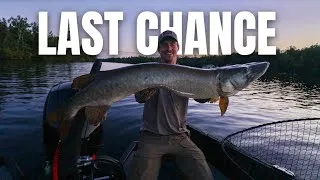 Thumbnail: LAST CHANCE MUSKY in a Musky Tournament