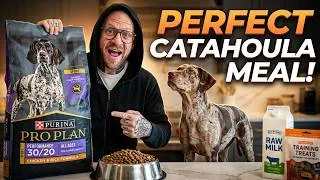 Thumbnail: The Exact Diet That Keeps My Catahoula Healthy & Strong