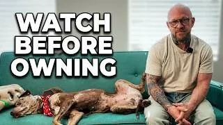 Thumbnail: 5 Things No One Tells You Before Owning a Catahoula (4 Years In)