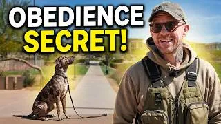 Thumbnail: Catahoula Leopard Dog Training Tips: Obedience Commands Every Owner Should Teach