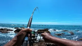 Thumbnail: 1 Days of BIG FISH