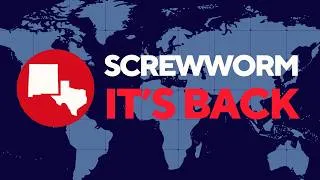 Thumbnail: Flesh-eating Screwworm & Pets