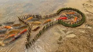 Thumbnail: Amazing Underground Fish Trap System in a Deep Hole | Bamboo Fish Trap | Giant Carp Fishing