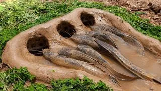 Thumbnail: Unique Amazing Easy Fish Trap for Catching Monster Catfish in Riverside