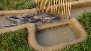 Thumbnail: Fishing With Primitive Methods | The Most Effective Primitive Fishing Method