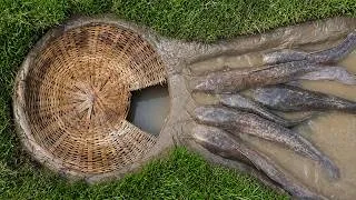 Thumbnail: Unique Amazing Easy Fish Trap For Catch Monster Catfish in River Side
