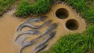 Thumbnail: Fishing With Primitive Methods | The Most Effective Primitive Fishing Method