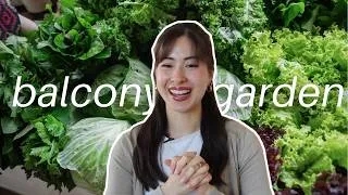 Thumbnail: gardening as a minimalist: finding peace in simple things
