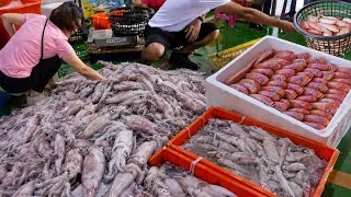 Thumbnail: GO Taiwanese port markets! ! Fresh Seafood: Squid, Cuttlefish and Tiger prawns_走進港口市場！東石鮮魚貨,花枝,魷魚,虎蝦