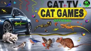 Thumbnail: CAT TV 4K COMPILATION | ULTIMATE MOUSE, BIRDS, BUGS, LIZARDS, SNAKE & INTERACTIVE TOYS FOR CATS 😻