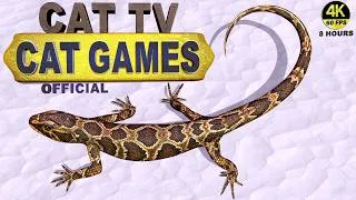 Thumbnail: CAT TV | ULTIMATE LIZARD MAZE MANIA 🦎 | CATS GO CRAZY WATCHING! | REALISTIC TAIL MOVEMENT | 4K 60FPS