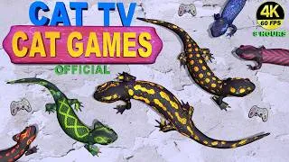 Thumbnail: Cat TV | 10 Colorful Salamanders for Cats to Catch 🦎 | 8 Hours in 4K 60FPS