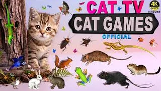 Thumbnail: CAT TV MAZE MANIA | CAT GAMES COMPILATION | CAT VIDEOS FOR CATS TO WATCH [4K 60FPS • 8 HOURS]