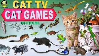 Thumbnail: CAT TV | THE ULTIMATE JUNGLE MOVIE FOR CATS | CAT GAMES BEST ADVENTURE COMPILATION EVER😻(4K 60 FPS)