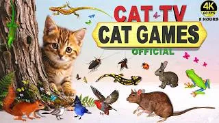 Thumbnail: CAT TV 🐱 MOUSE MAZE & LIZARD CHASE | BIRDS & BUGS CAT GAMES 🐦 | VIDEOS FOR CATS TO WATCH (4K 60FPS)
