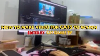 Thumbnail: Behind the Scenes: Making Interactive Cat Videos That Keep Cats Watching 😺📺