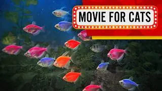Thumbnail: Cat Games - Family of Glofish (Video for Cats to watch)