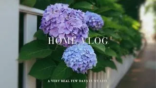 Thumbnail: Home Vlog | skincare, nature walks + finding my calm in the chaos
