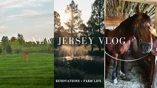 Thumbnail: Soft Life Summer Vlog | Local Farms, Renovating, & Family Time