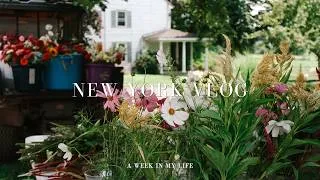 Thumbnail: A Week in My Life | Self-care, Insomnia, Make dinner with me, Deep cleaning