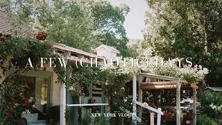 Thumbnail: HOME VLOG | Farm Haul, Fabric Swatches, Adjusting to a new routine