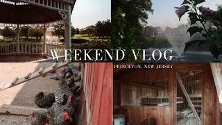Thumbnail: Weekend Vlog in Princeton, NJ | renovations, time with family, best ice cream shoppe, design updates