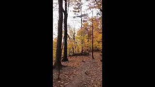 Thumbnail: Perfect autumn day at Bronte Creek Oct 2023