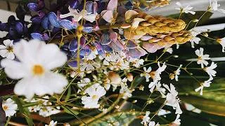Thumbnail: Cozy vlog #flowers #pies #walk #warm #delicious #stories #cozy #relaxing #vlog #meow