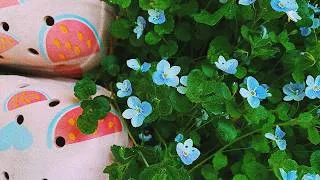 Thumbnail: Cozy Vlog: Coffee, Cat, Sketchbook, and Slow Living #vlog #slowliving #cat #asmr