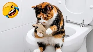 Thumbnail: Funny Cats And Dogs Compilation 😹 Best Animal Fails 2026 🤯#cat #funny 