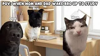 Thumbnail: CAT MEMES: When Mom And Dad Wake Bro Up To Study