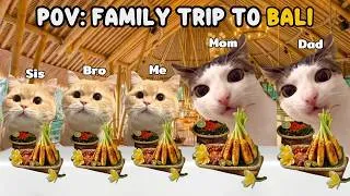 Thumbnail: CAT MEMES Family Trip To Bali