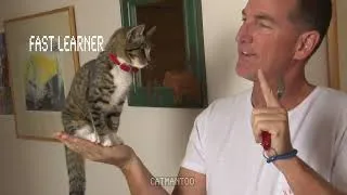 Thumbnail: She started it all - now the most talented cat in the world