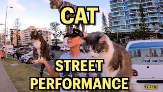 Thumbnail: CAT STREET PERFORMER