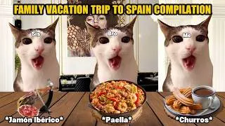 Thumbnail: CAT MEMES FAMILY VACATION TRIP TO SPAIN COMPILATION